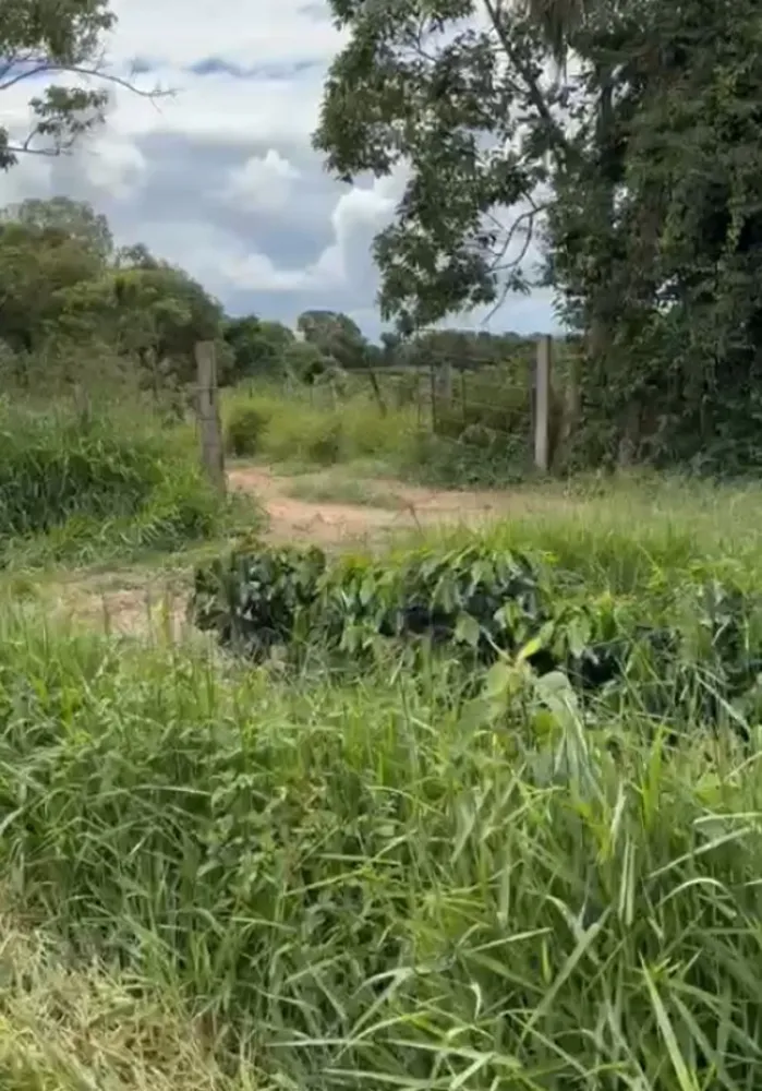 Fazenda, 54 hectares - Foto 4