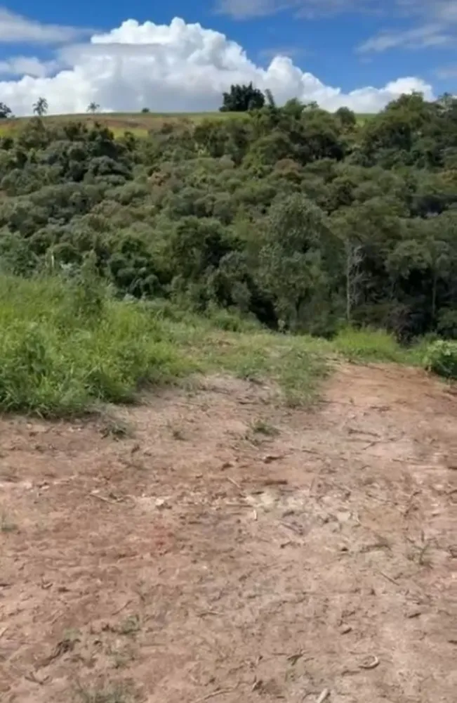 Fazenda, 54 hectares - Foto 9
