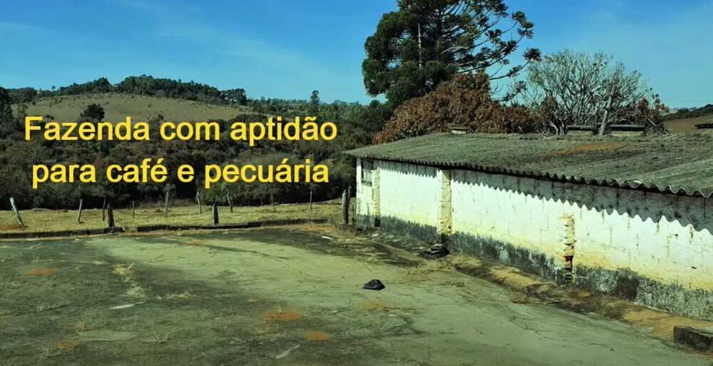 Fazenda à venda com 2 quartos, 530000m² - Foto 8
