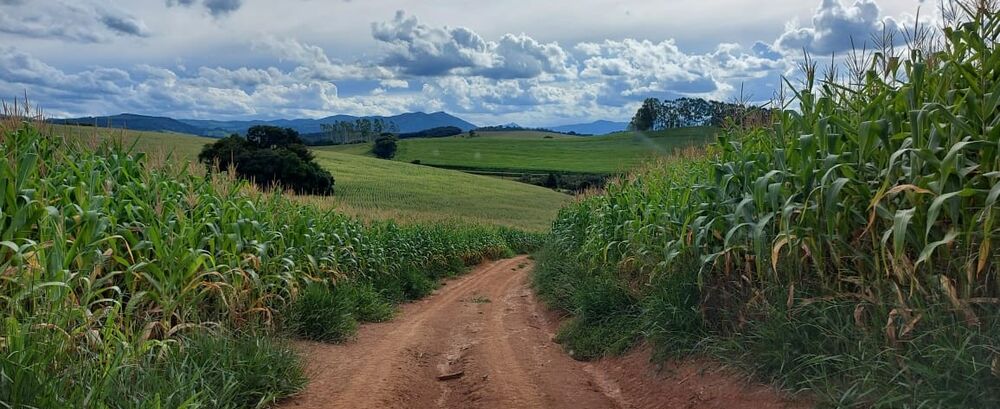 Fazenda à venda com 2 quartos, 530000m² - Foto 3