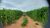 Fazenda, 53 hectares - Foto 7