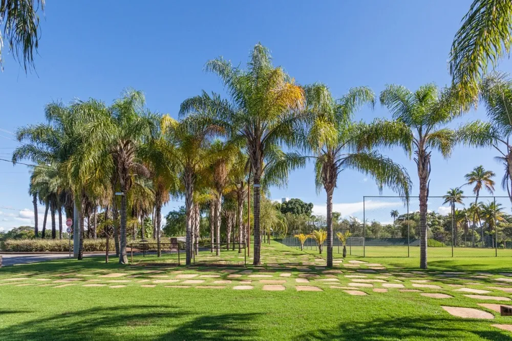 Terreno, 1000 m² - Foto 4
