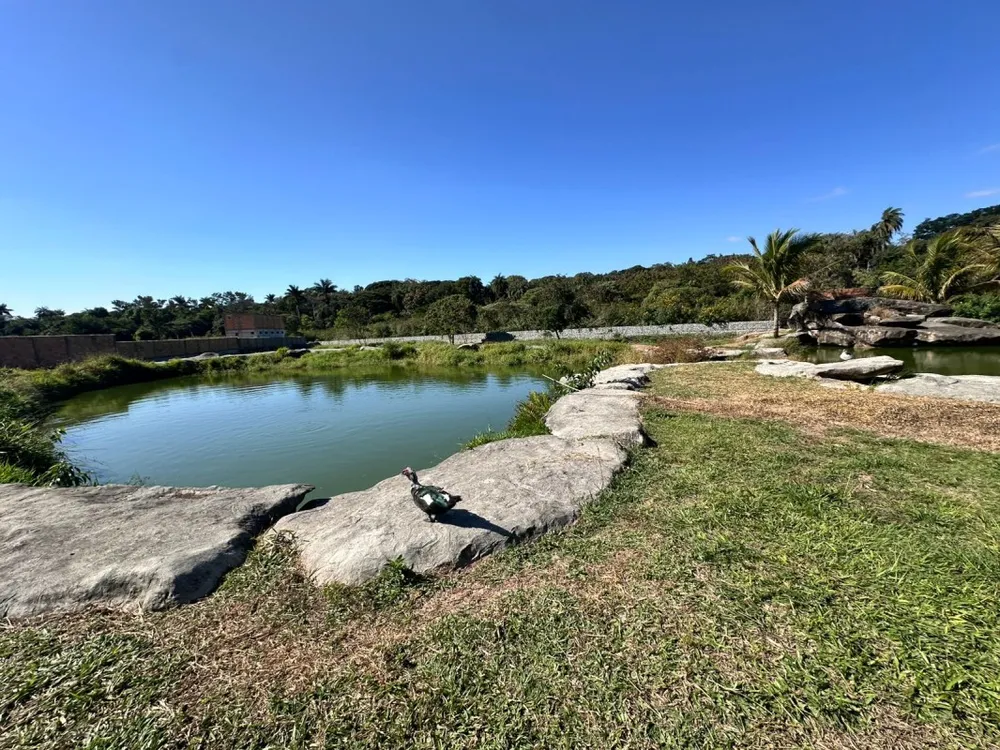 Terreno, 15000 m² - Foto 8