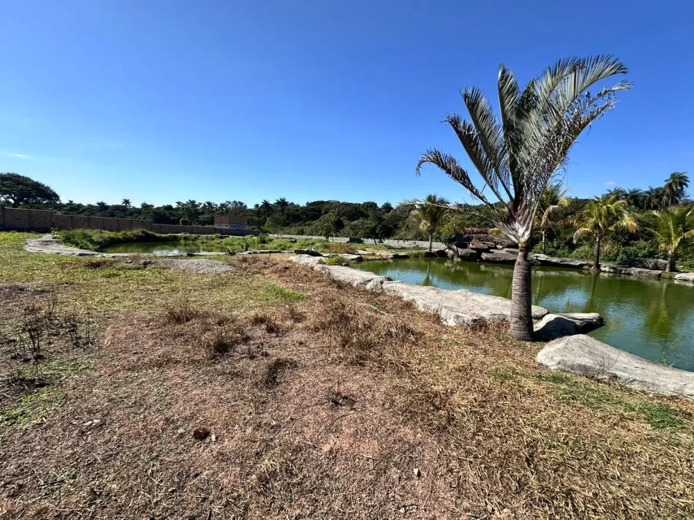 Terreno, 15000 m² - Foto 6