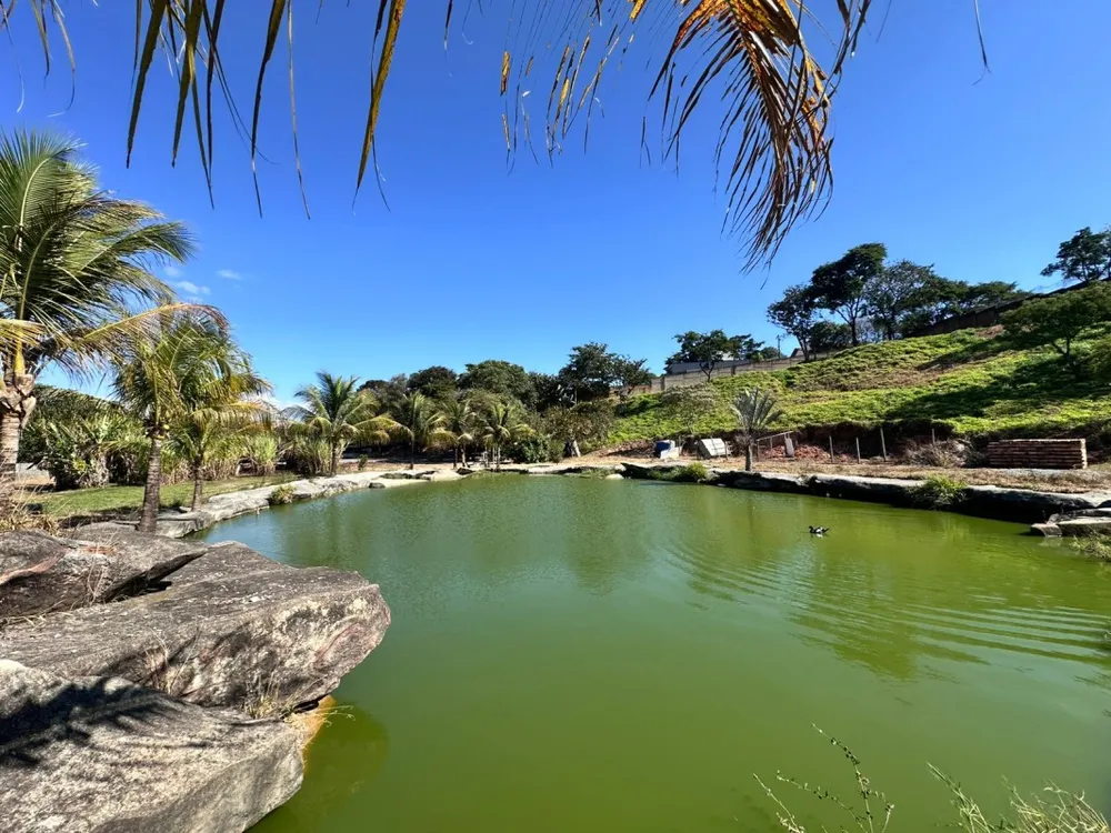 Terreno, 15000 m² - Foto 3