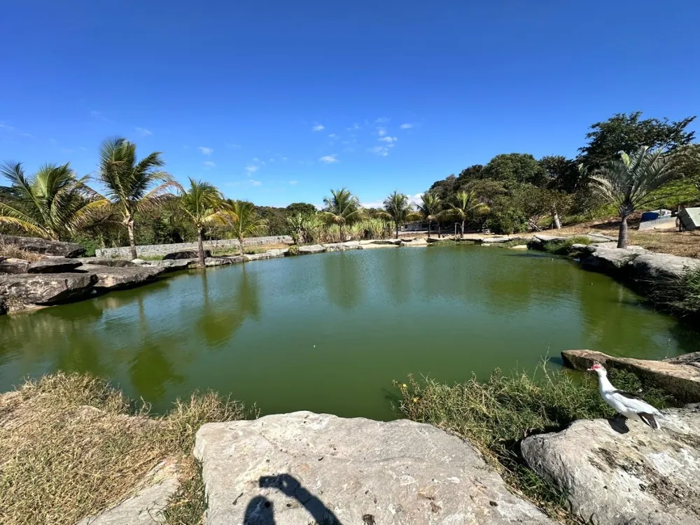 Terreno, 15000 m² - Foto 11