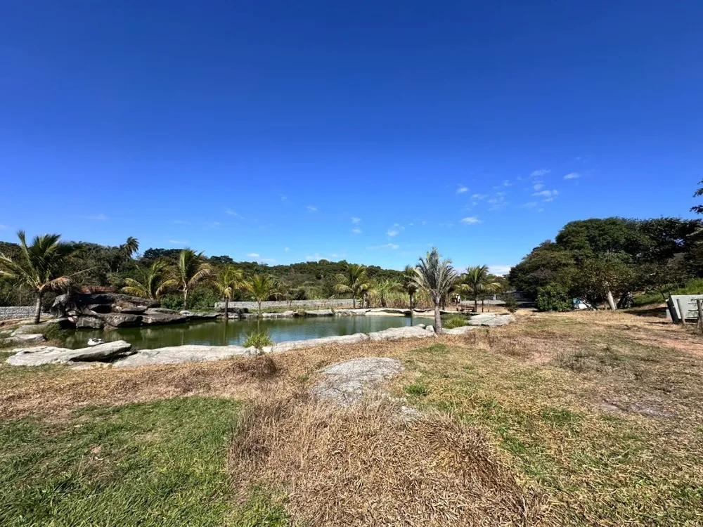 Terreno, 15000 m² - Foto 10