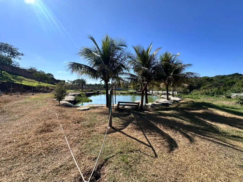 Terreno, 15000 m² - Foto 5