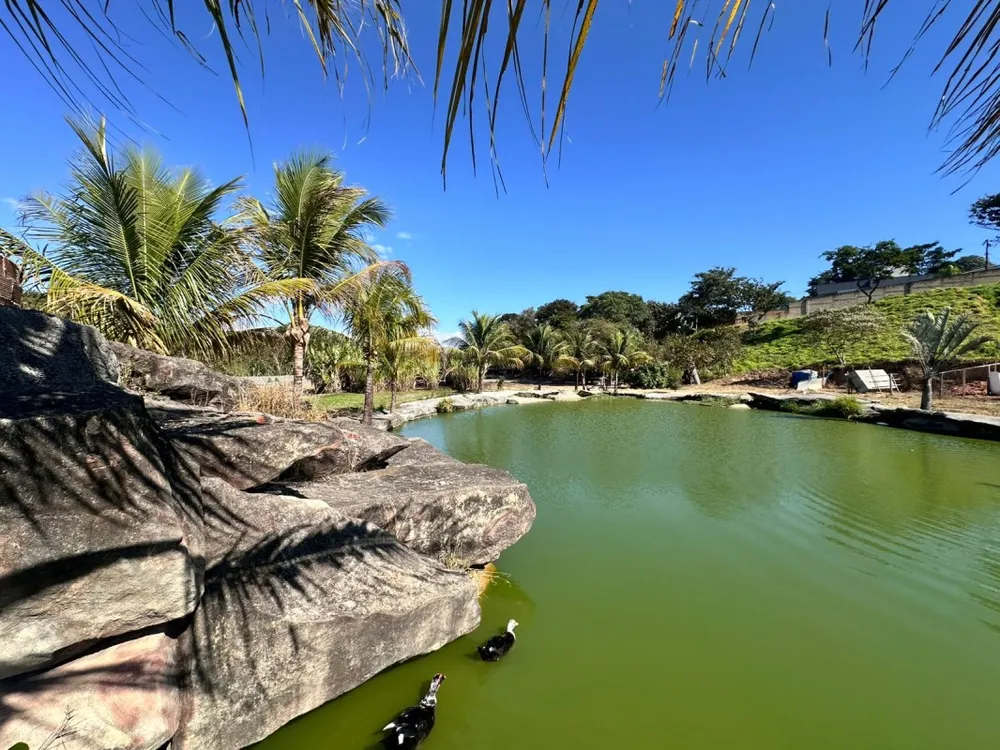Terreno, 15000 m² - Foto 12