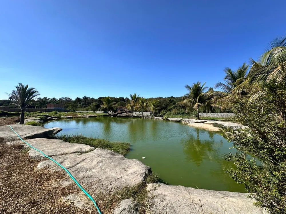 Terreno, 15000 m² - Foto 4