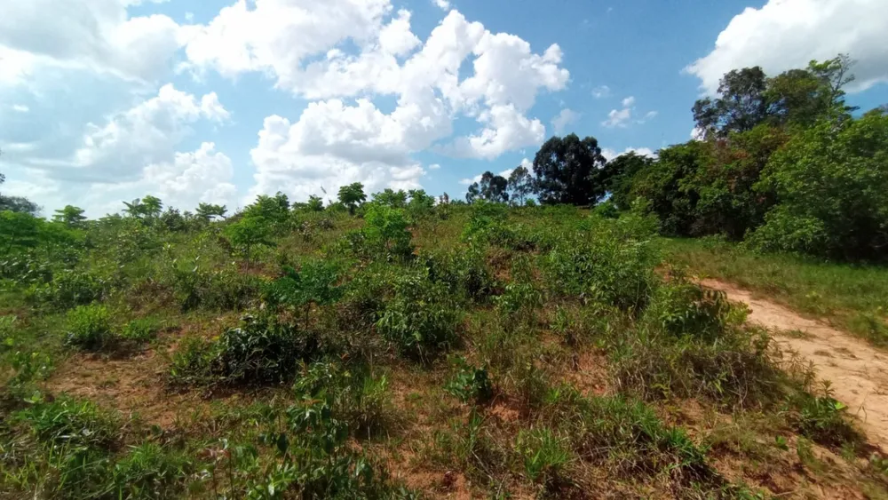 Terreno, 16000 m² - Foto 5