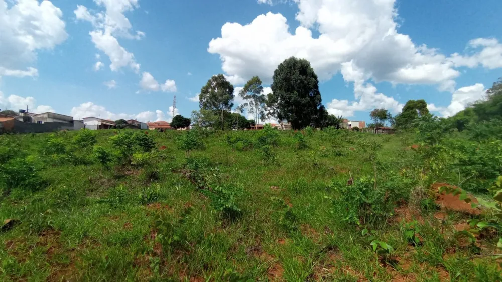 Terreno, 16000 m² - Foto 8