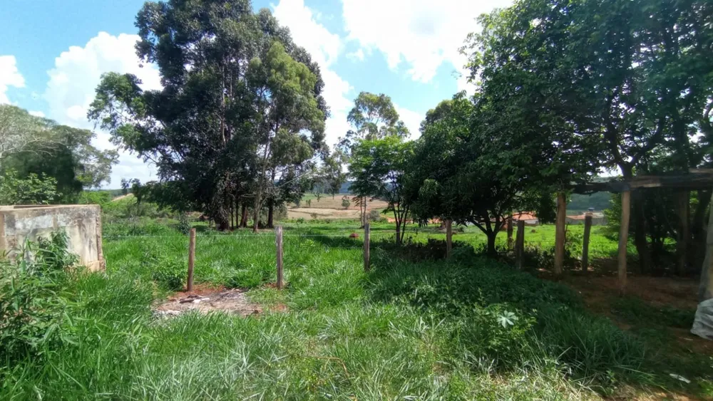 Terreno, 16000 m² - Foto 11