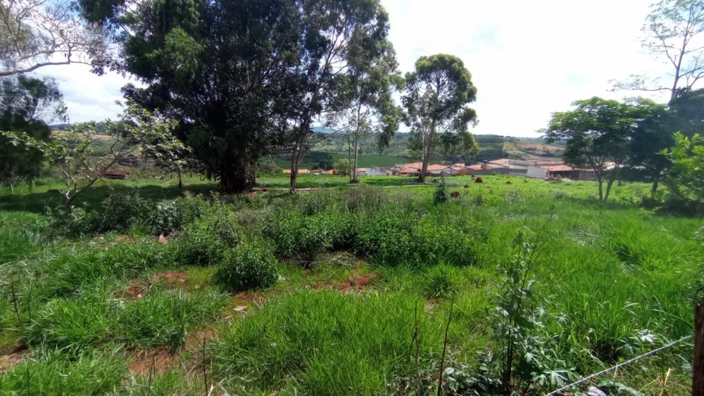 Terreno, 16000 m² - Foto 9