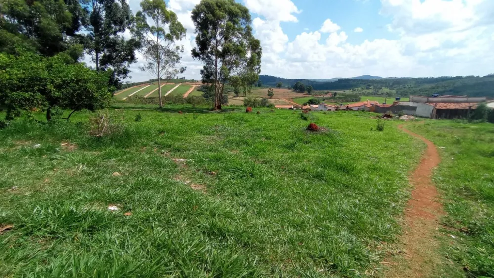Terreno, 16000 m² - Foto 12