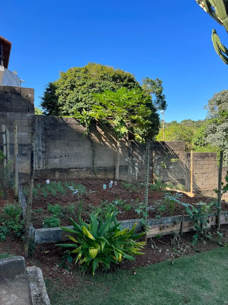 Casa, 6 quartos, 380 m² - Foto 12