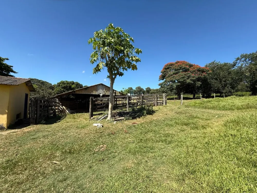 Fazenda, 1 quarto - Foto 5