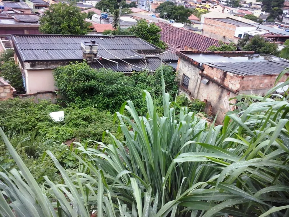 Terreno, 390 m² - Foto 3