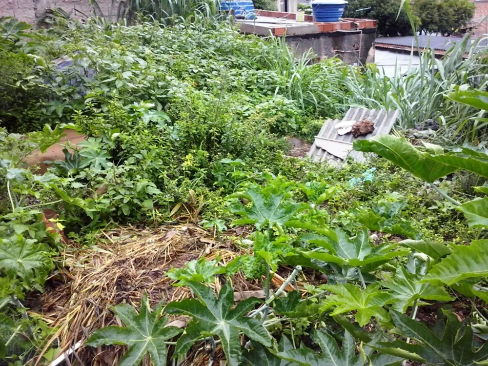 Terreno, 390 m² - Foto 6