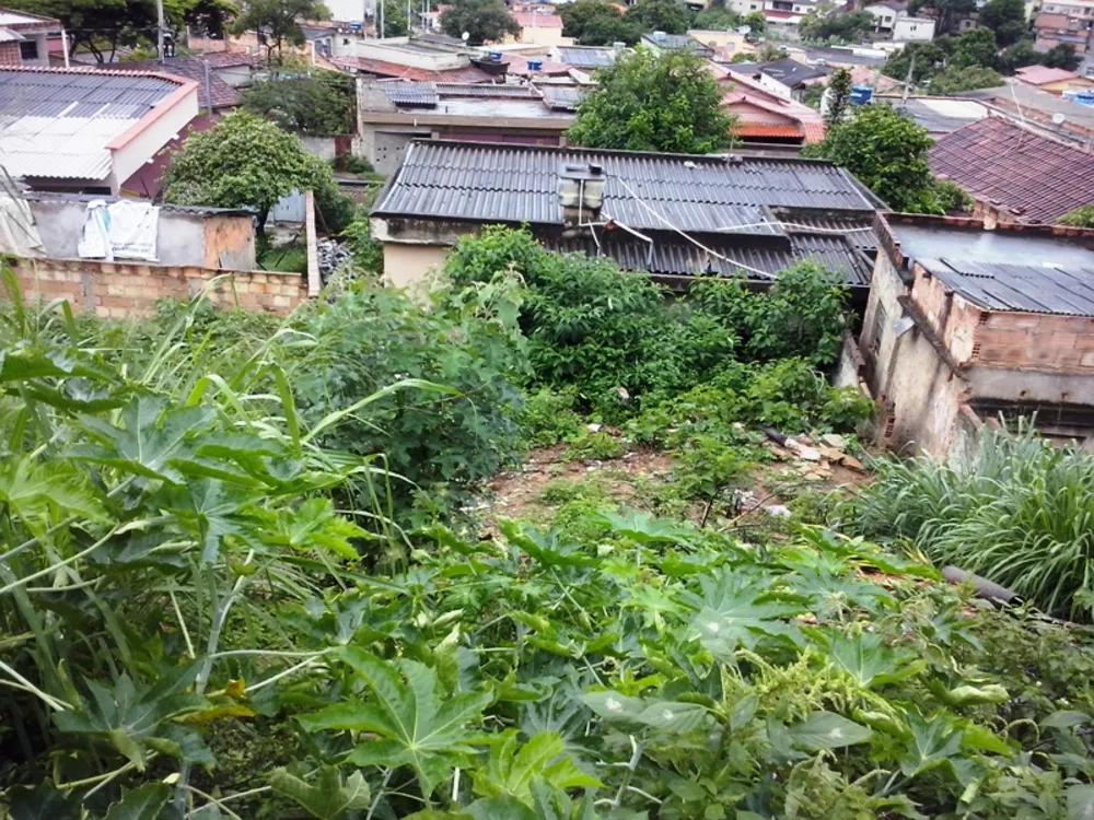 Terreno, 390 m² - Foto 5