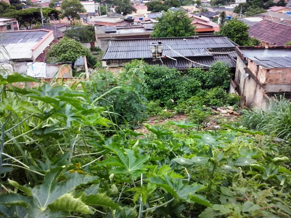 Terreno, 390 m² - Foto 4
