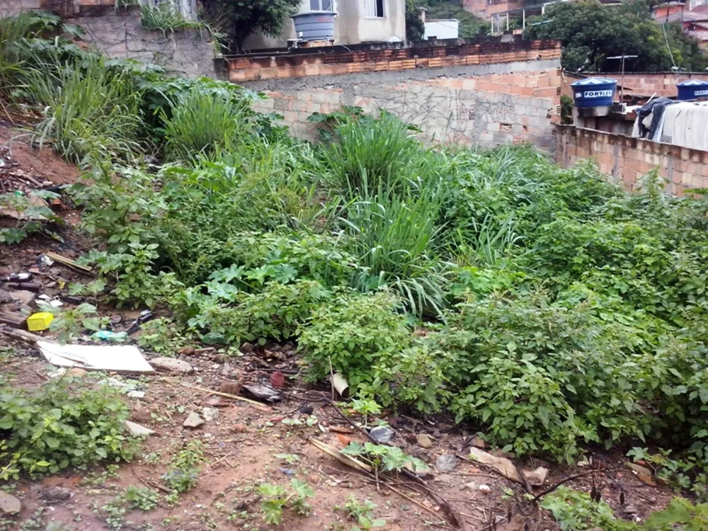 Terreno, 390 m² - Foto 7