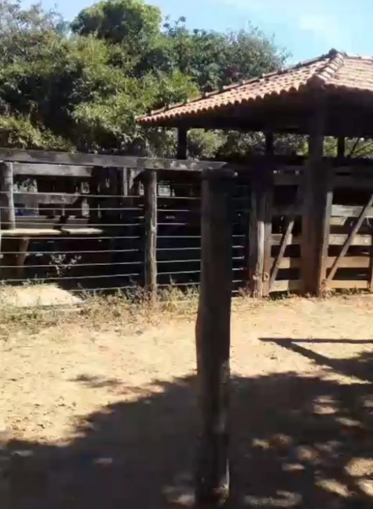 Fazenda, 218 hectares - Foto 8