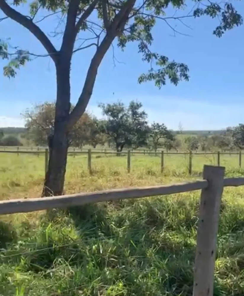 Fazenda, 218 hectares - Foto 4