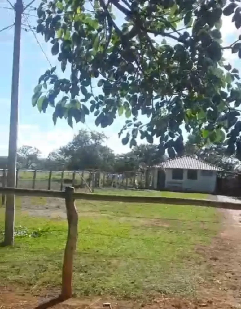 Fazenda, 218 hectares - Foto 2
