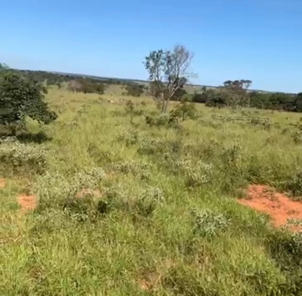 Fazenda, 218 hectares - Foto 6