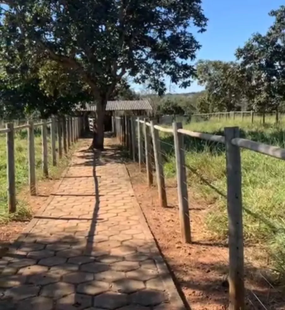 Fazenda, 218 hectares - Foto 1