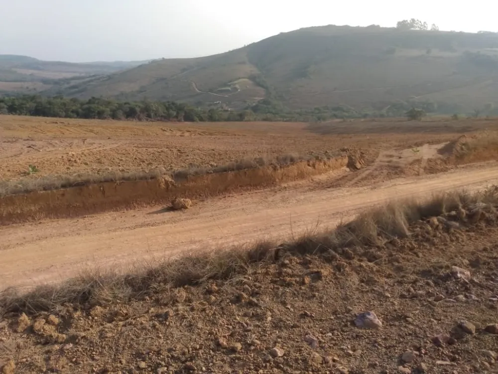 Fazenda, 160 hectares - Foto 4