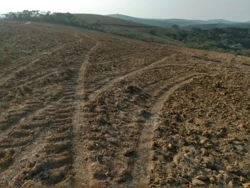 Fazenda, 160 hectares - Foto 1
