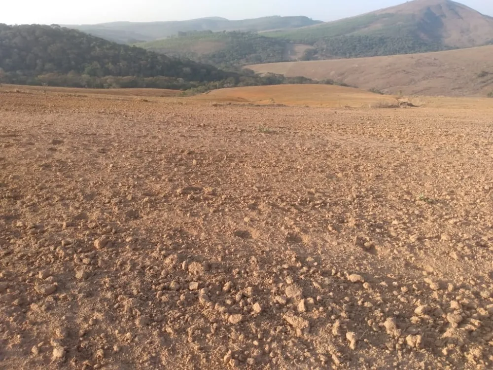 Fazenda, 160 hectares - Foto 7