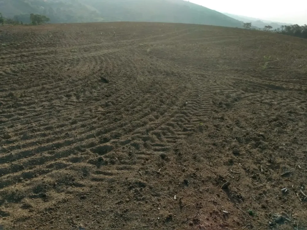 Fazenda, 160 hectares - Foto 3