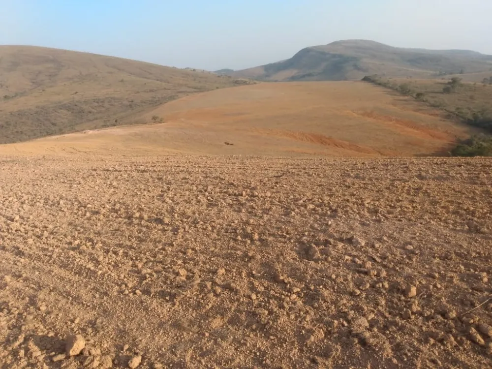 Fazenda, 160 hectares - Foto 6