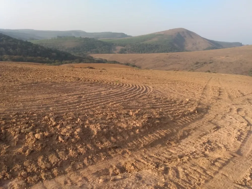 Fazenda, 160 hectares - Foto 13
