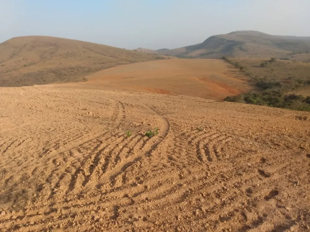 Fazenda, 160 hectares - Foto 10