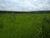 Fazenda, 620 hectares - Foto 3