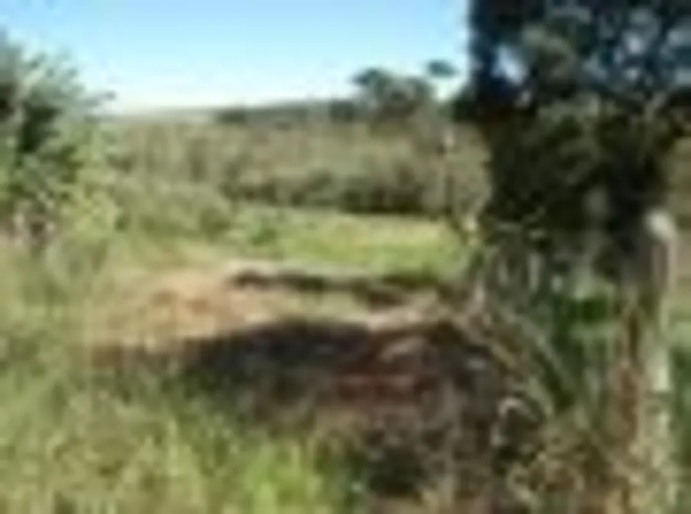 Terreno, 3000 m² - Foto 3