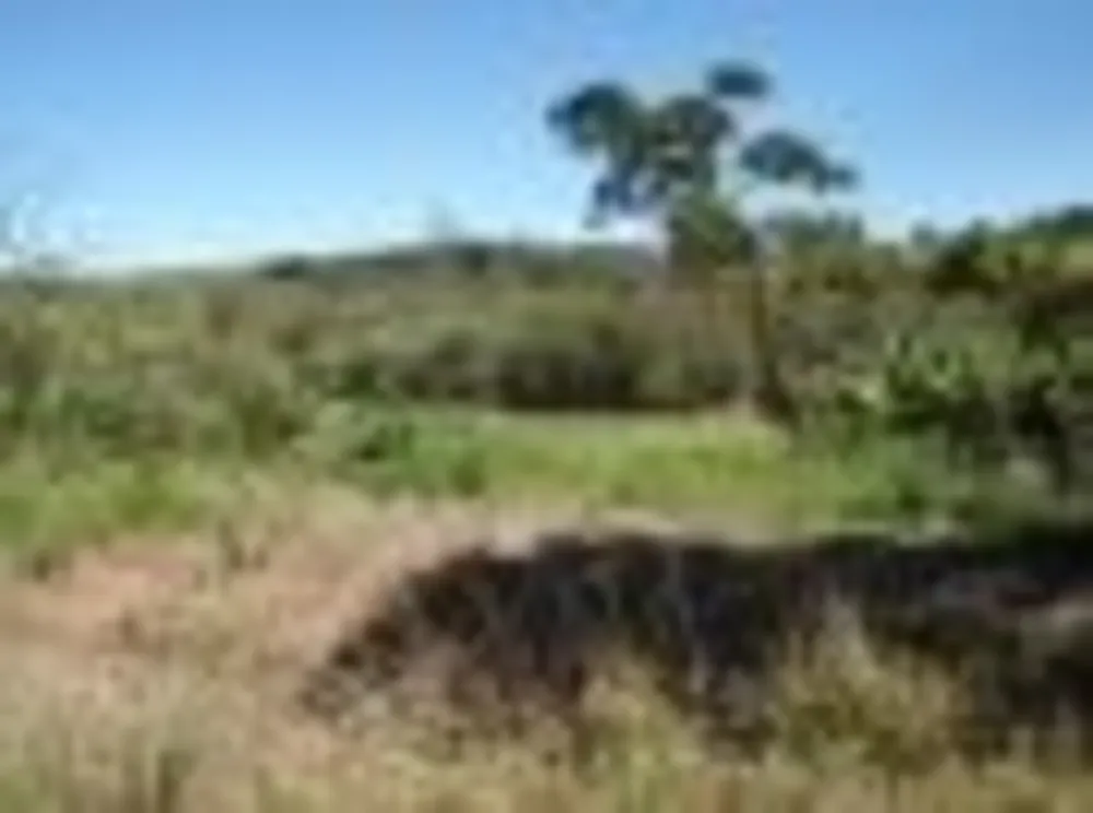 Terreno, 3000 m² - Foto 1