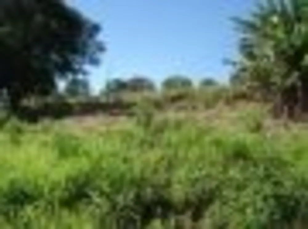 Terreno, 3000 m² - Foto 2