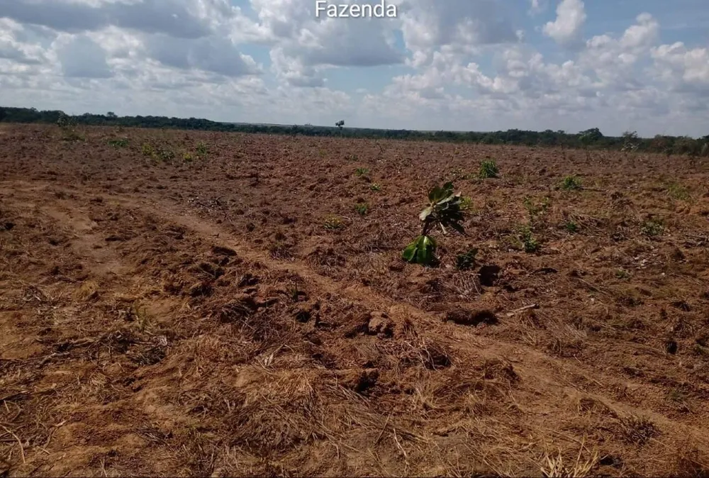 Fazenda, 1 quarto - Foto 1
