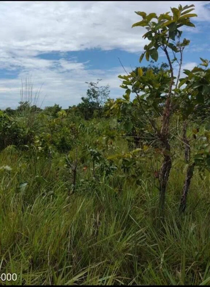 Fazenda, 1 quarto - Foto 12