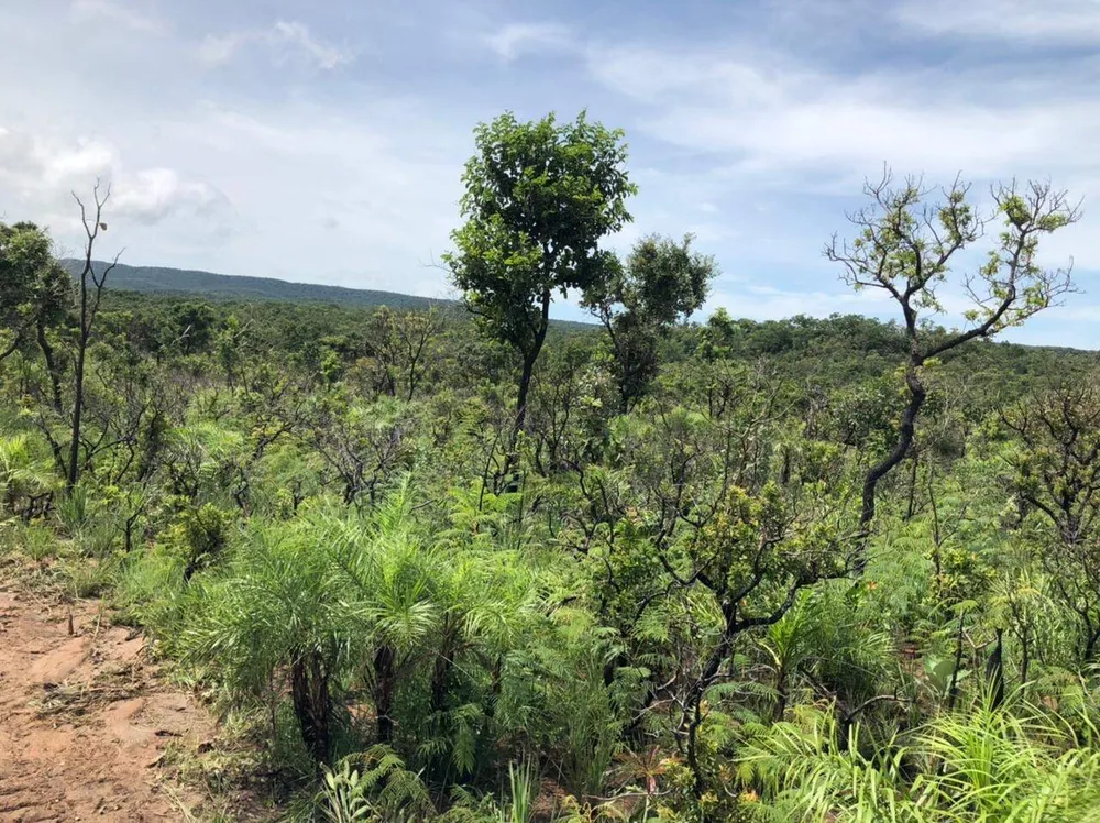Fazenda, 1 quarto - Foto 5