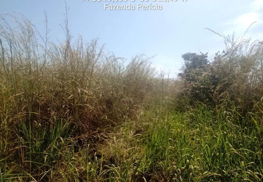 Fazenda, 1 quarto - Foto 7