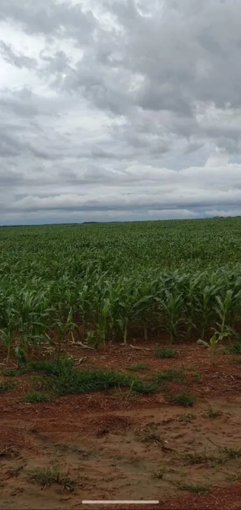 Fazenda, 1 quarto - Foto 6
