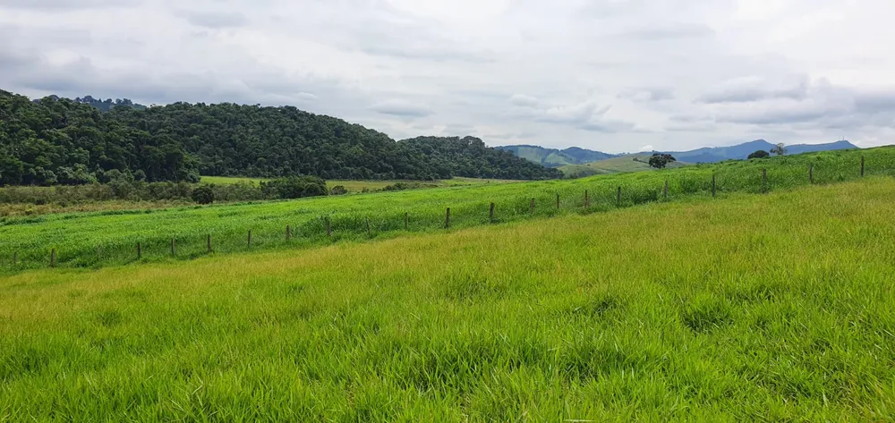 Fazenda, 209 hectares - Foto 2