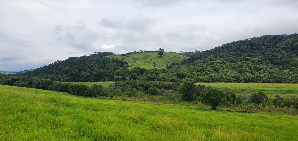 Fazenda, 209 hectares - Foto 16
