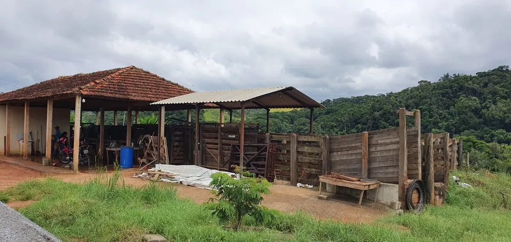 Fazenda, 209 hectares - Foto 17